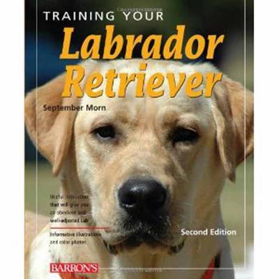 Training Your Labrador Retriever by September Morn image