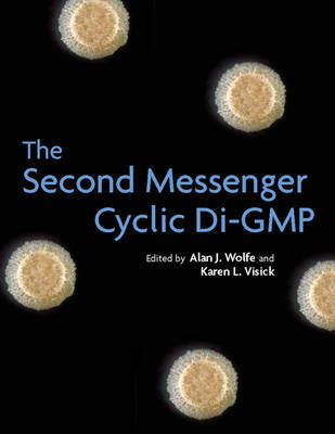 The Second Messenger Cyclic Di-GMP on Hardback by Alan J. Wolfe