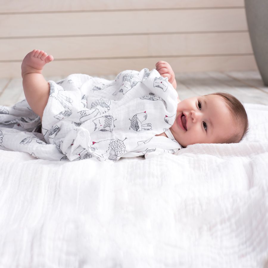 Aden + Anais: Classic Swaddle - Lovebird (4 Pack Swaddling Wraps)