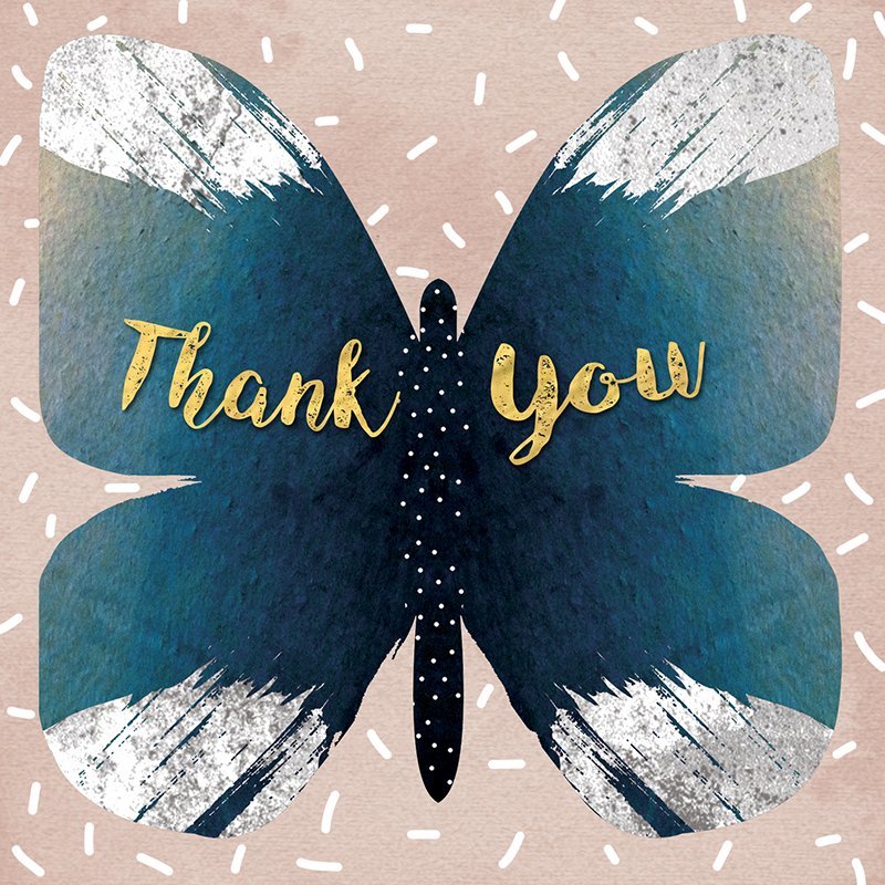 Hammond Gower: Thank You Butterfly White - Greeting Card Set