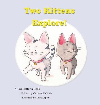 Two Kittens Explore by Carlo a Demaio image