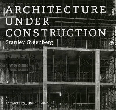 Architecture Under Construction by Stanley Greenberg image