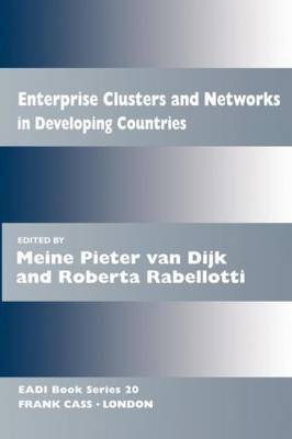 Enterprise Clusters and Networks in Developing Countries image