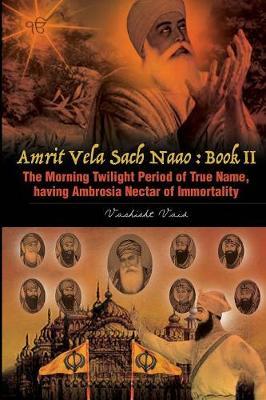 The Morning Twilight Period of True Name, Having Ambrosia Nectar of Immortality -Book II by Vashisht Vaid image