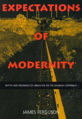 Expectations of Modernity by James Ferguson image