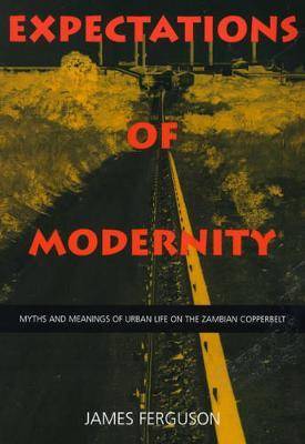 Expectations of Modernity by James Ferguson