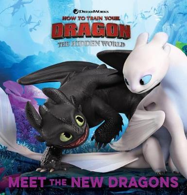 How To Train Your Dragon: The Hidden World: World of Dragons image