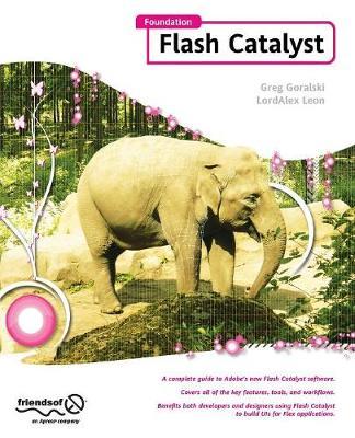 Foundation Flash Catalyst image