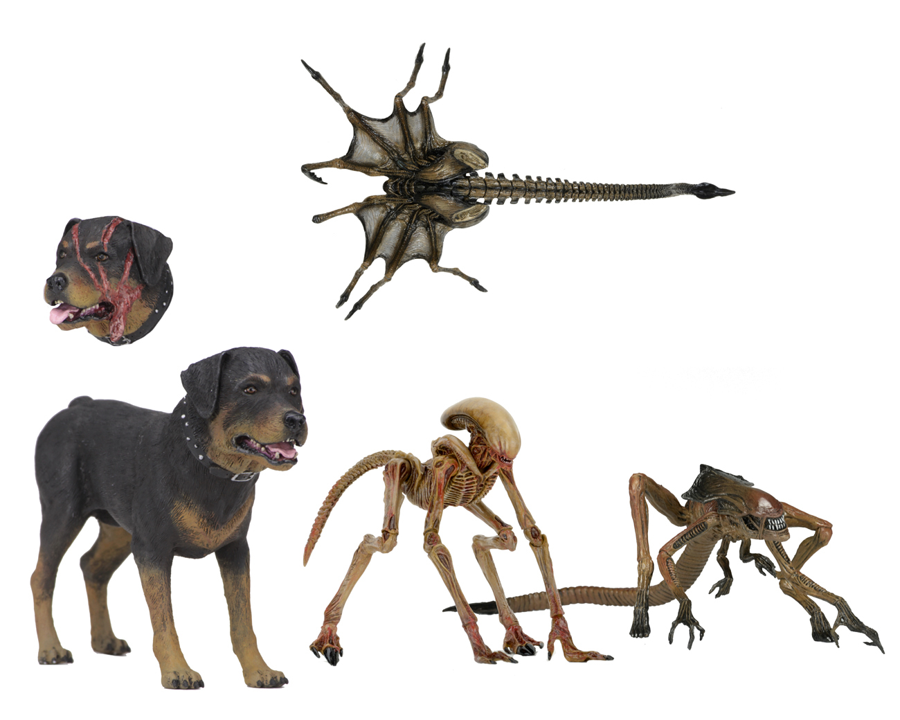 Alien 3: Creature Accessory Pack - (Scales with 7" Figures) image