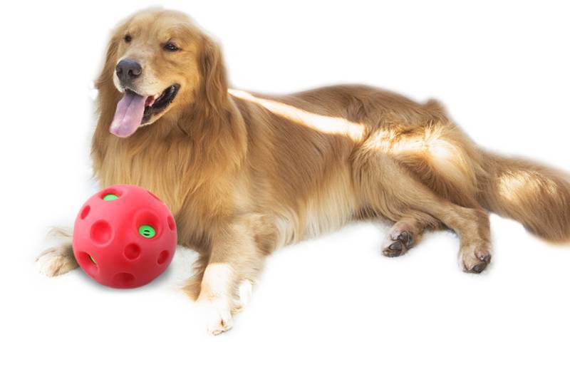 Pawise: Shake Me - Giggle Ball image