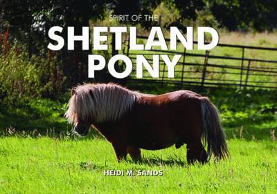 Spirit of the Shetland Pony by Heidi M. Sands image