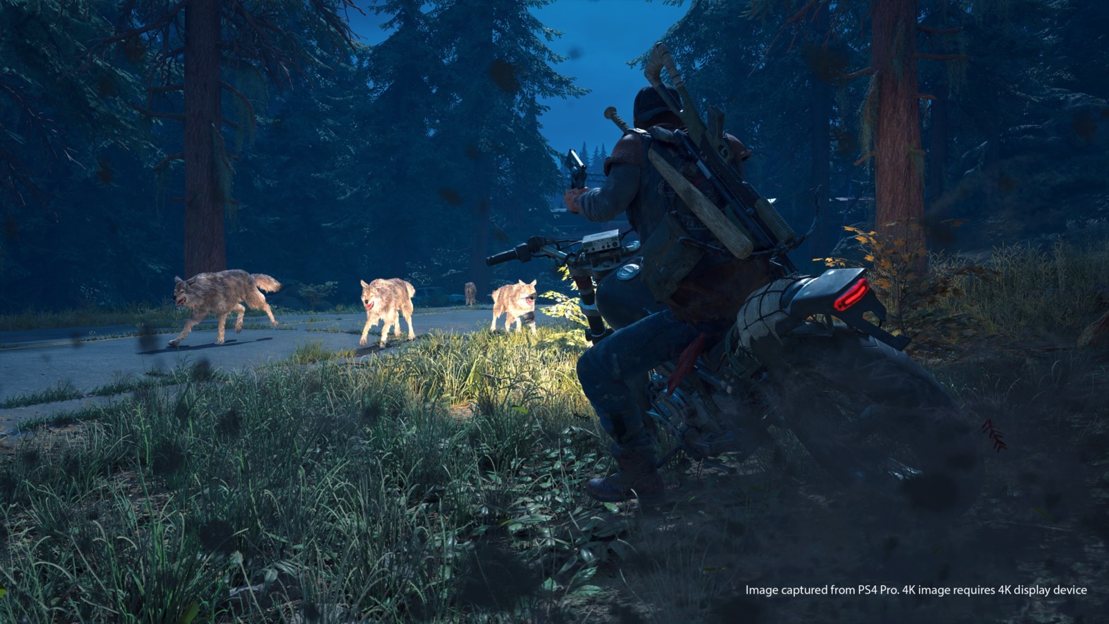 Days Gone Collector's Edition for PS4 image