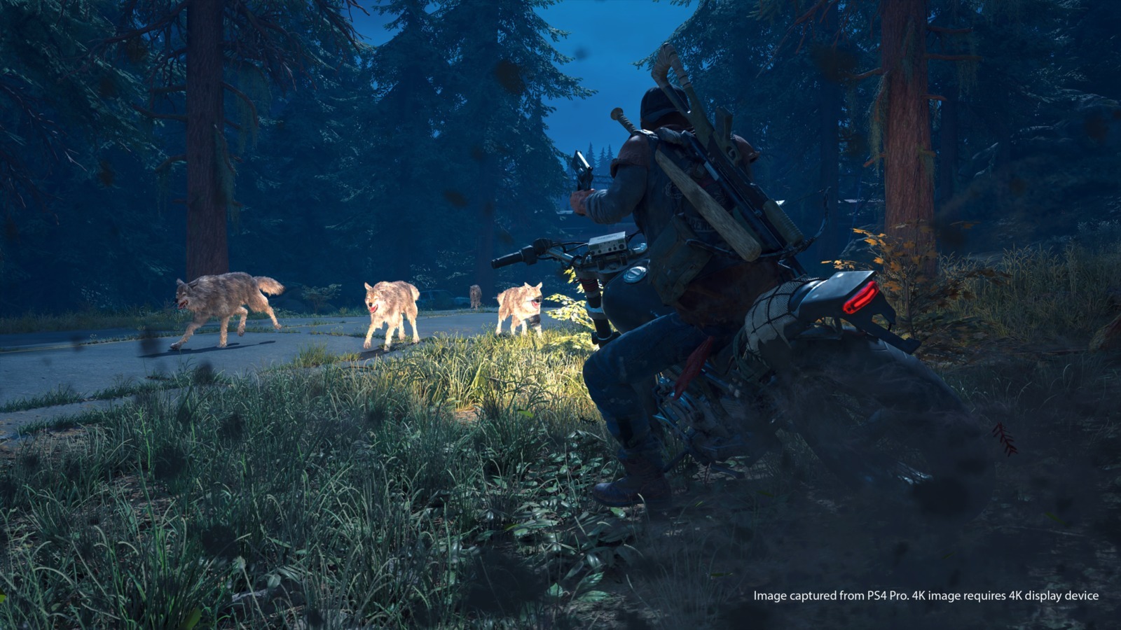 Days Gone Collector's Edition image