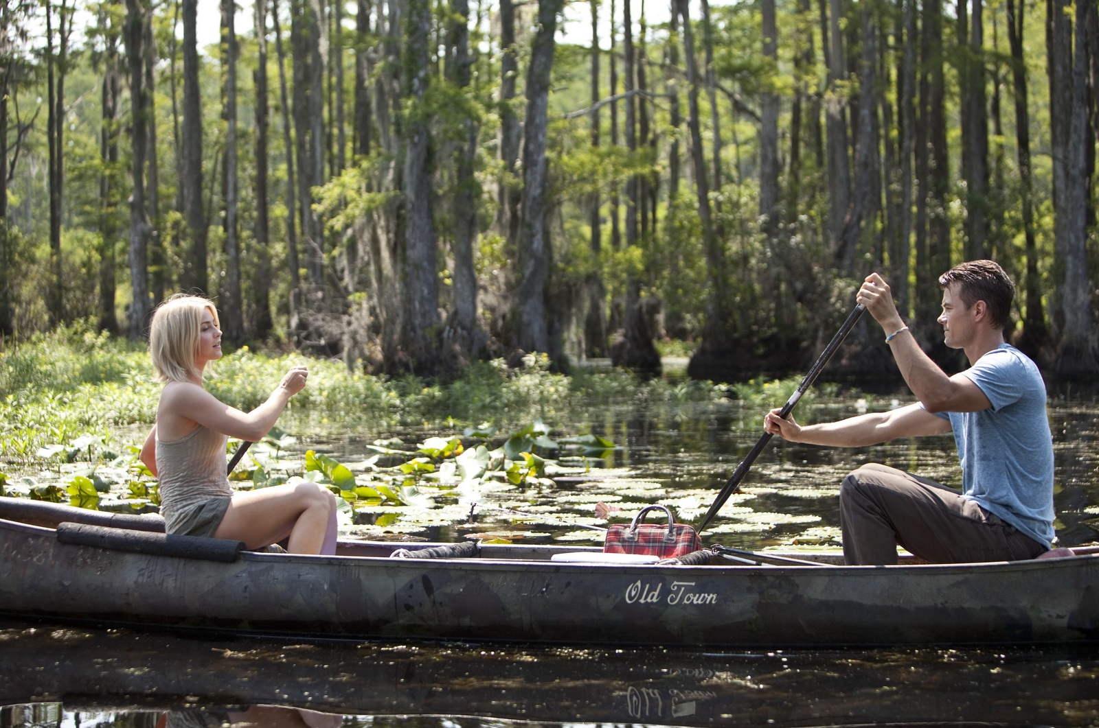 Safe Haven on DVD image