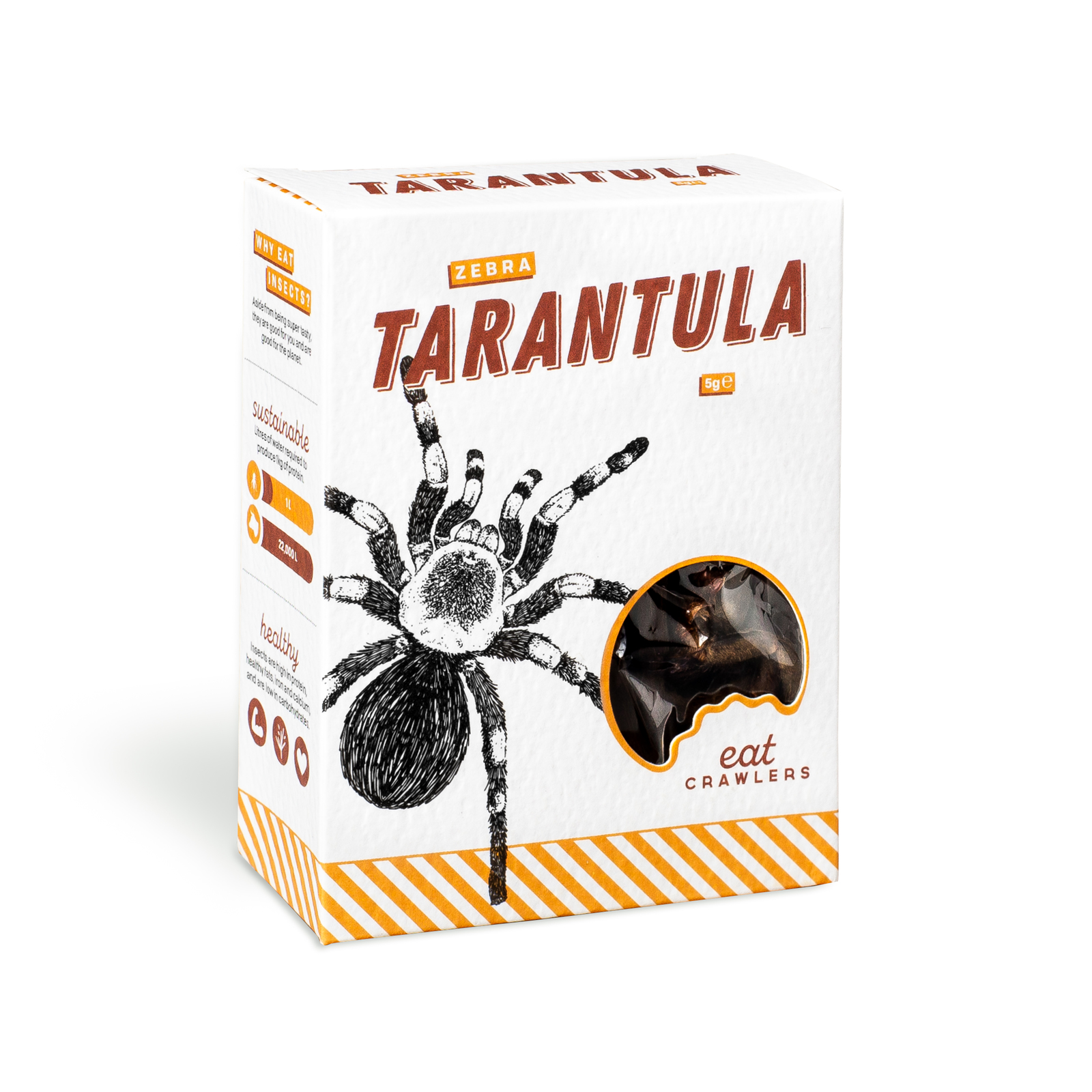Eat Crawlers: Natural Zebra Tarantula (5g) image