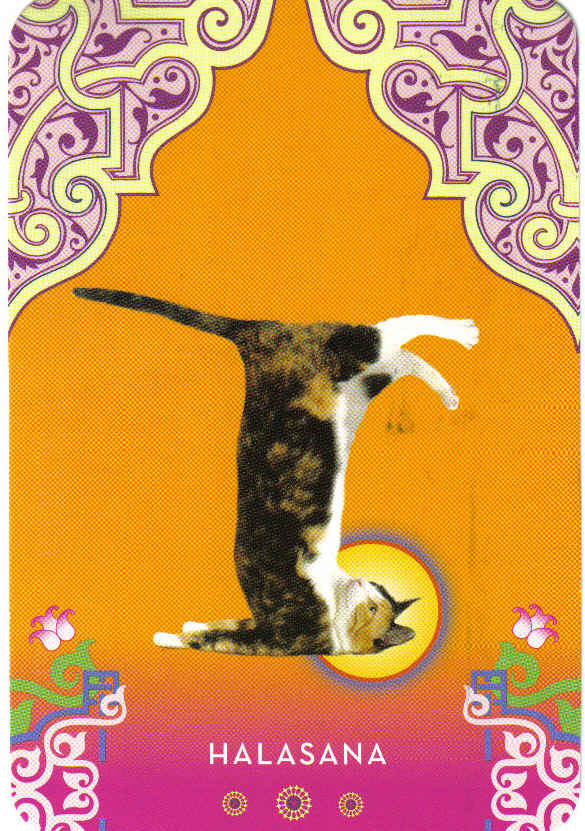 Cat Yoga Postcards (32 Postcards) by Rick Tillotson image