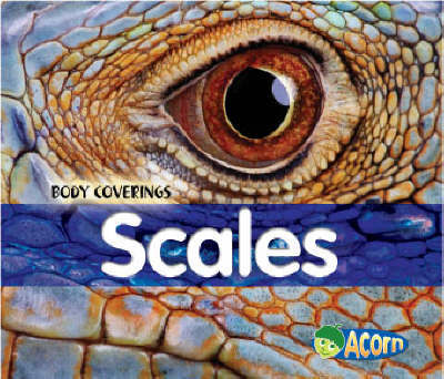 Scales image