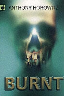 Burnt by Anthony Horowitz image