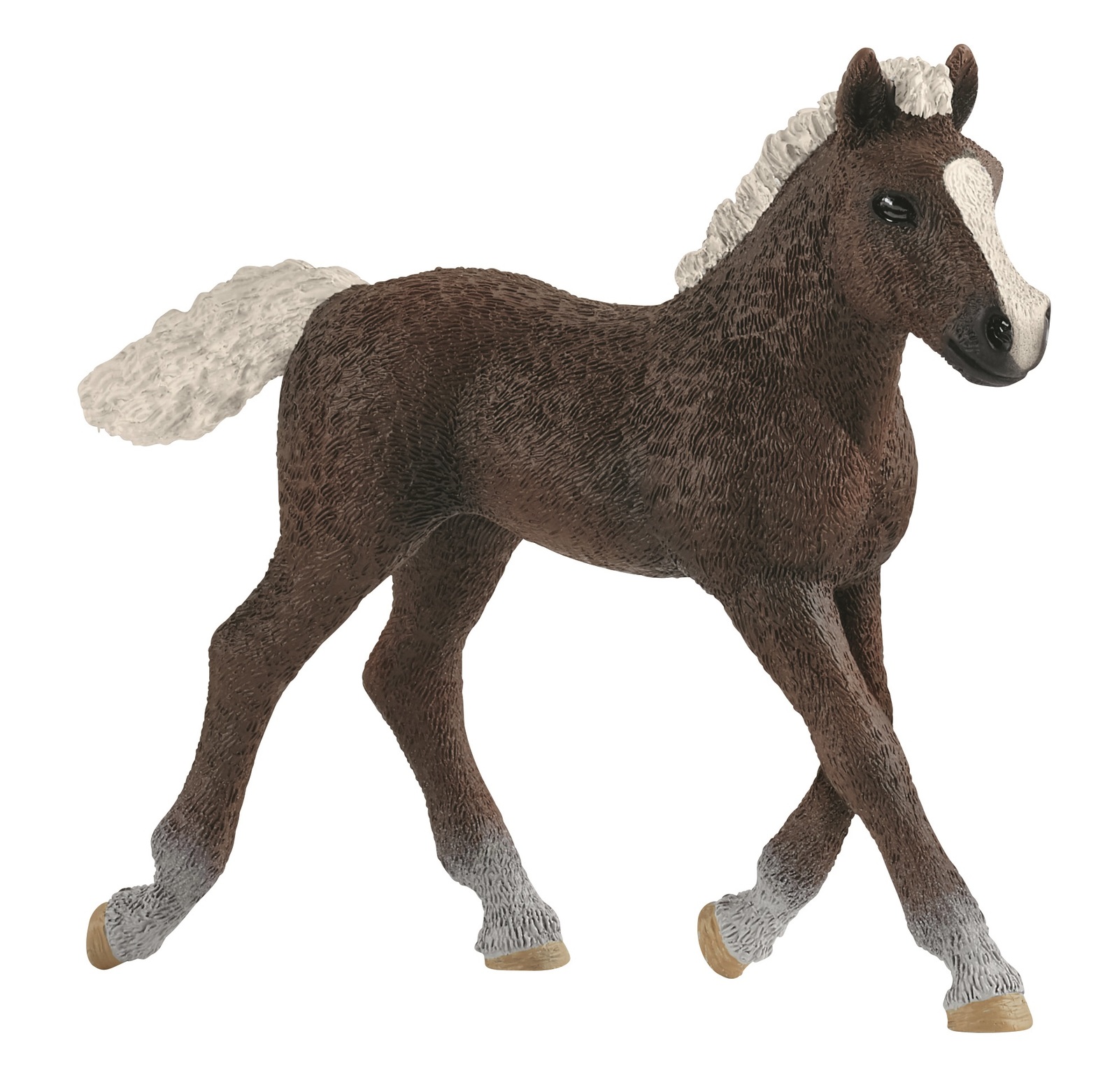 Quarter Horse Weight:  From Tiny Foal To Mighty Adult - a2ez0ld