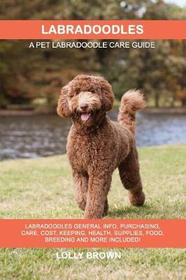 Labradoodles by Lolly Brown image