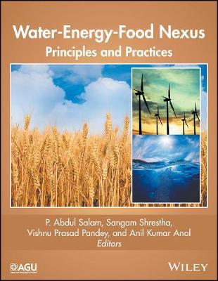 Water-Energy-Food Nexus on Hardback