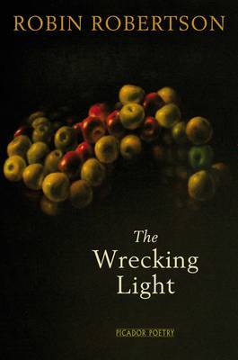 The Wrecking Light on Hardback by Robin Robertson