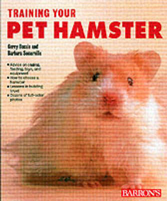 Training Your Pet Hamster image