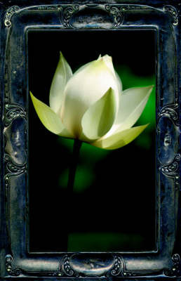 Letting the Lotus Bloom by Kevin Kelly, M.F image
