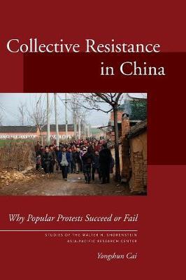 Collective Resistance in China by Yongshun Cai image