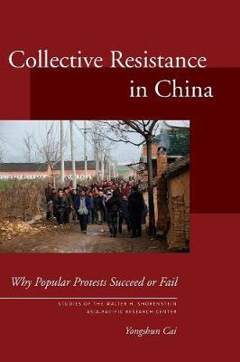 Collective Resistance in China image