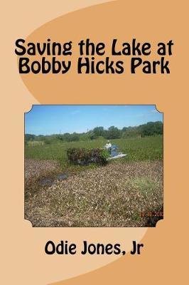 Saving the Lake at Bobby Hicks Park by Jr Odie Jones image