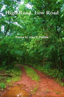 High Road, Low Road by Joan Phillips image