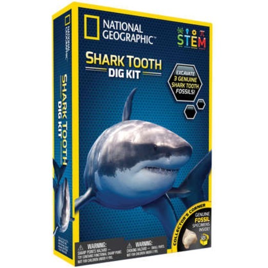 National Geographic: Shark Tooth Dig Kit image