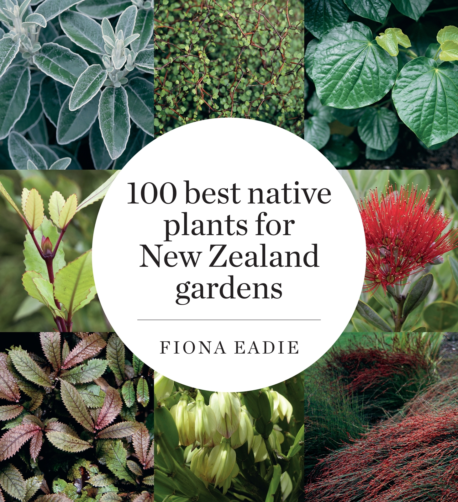 100 Best Native Plants for New Zealand Gardens (Revised Edition) by Fiona Eadie