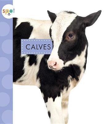 Calves by Anastasia Suen image