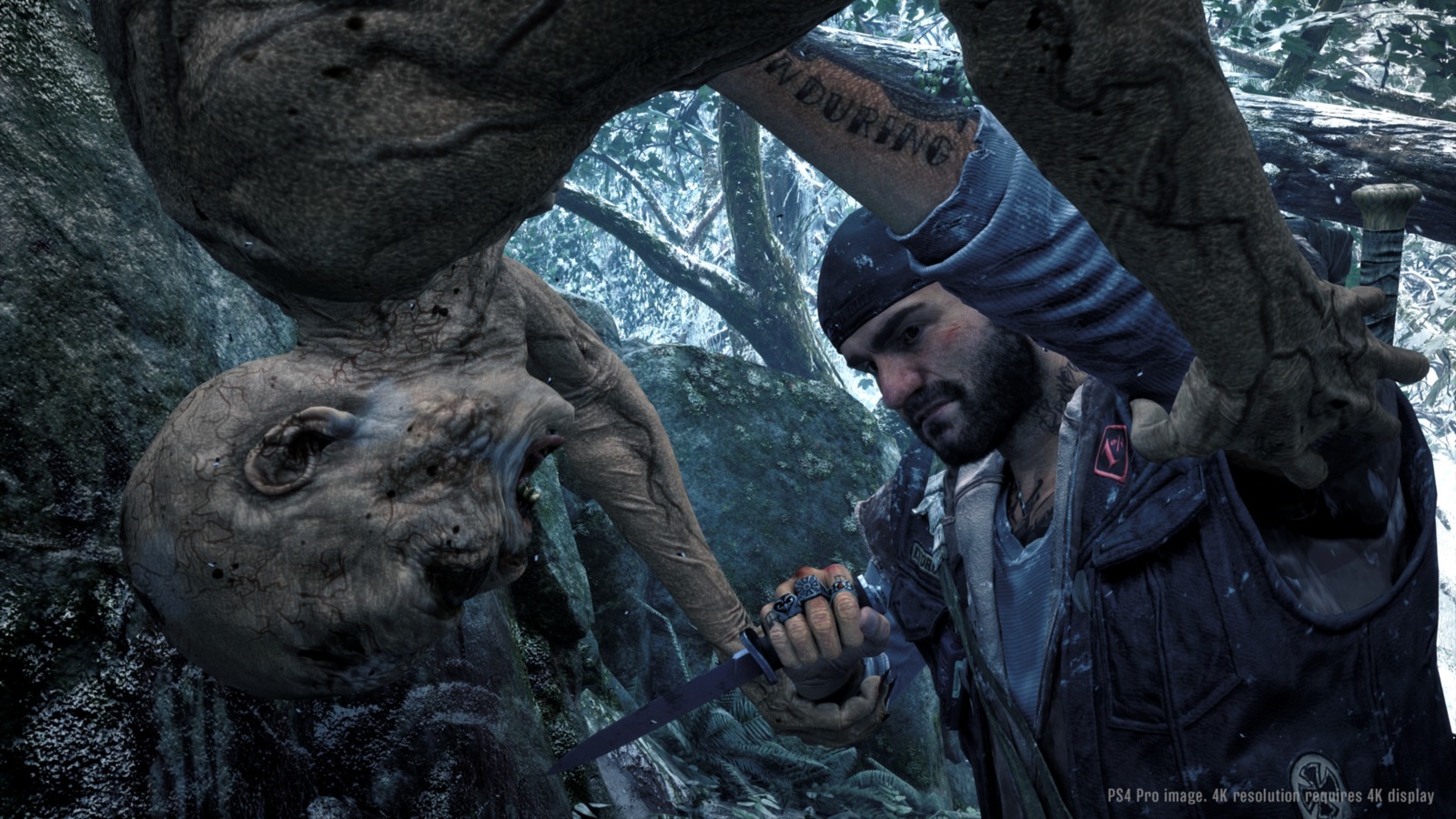 Days Gone Collector's Edition for PS4 image