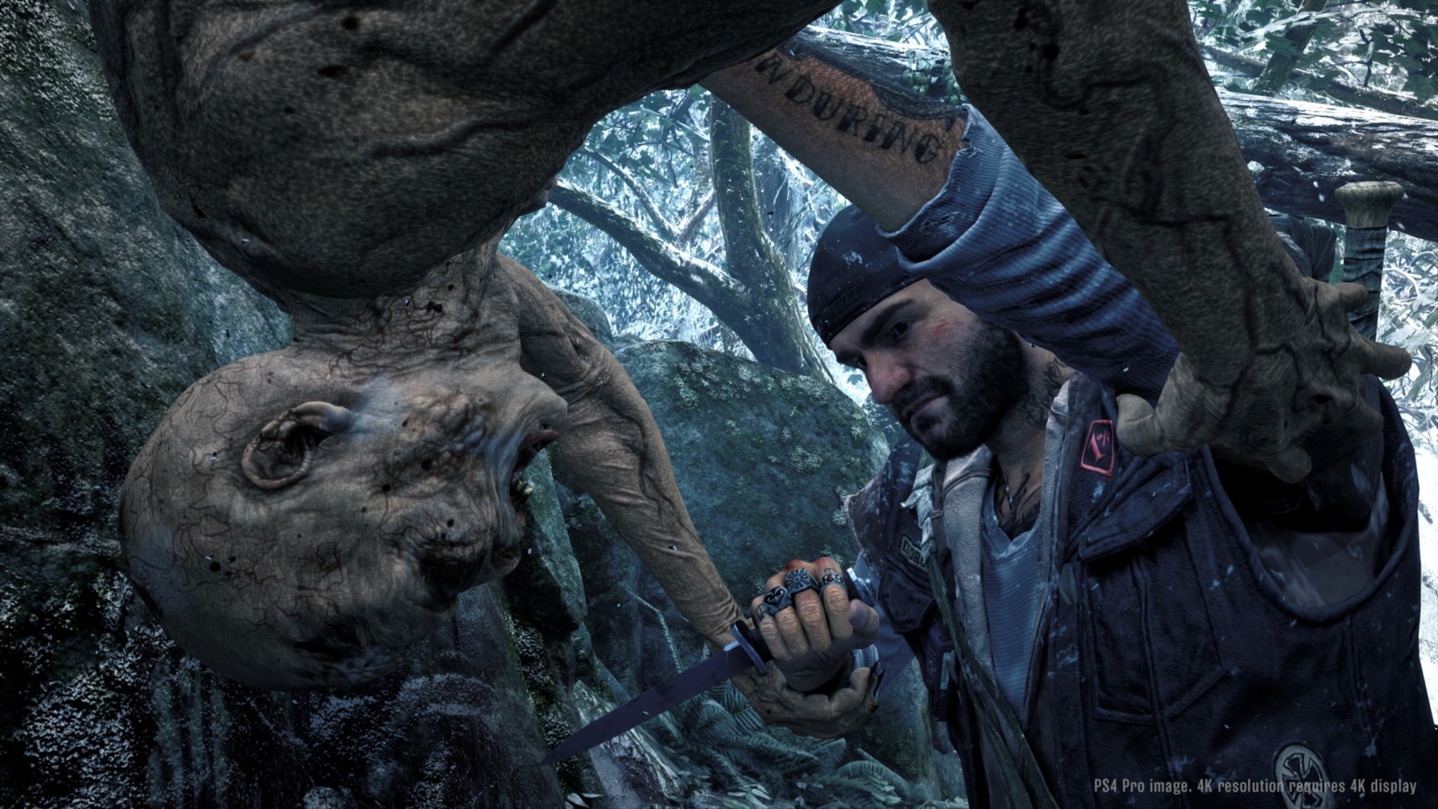 Days Gone Collector's Edition on PS4