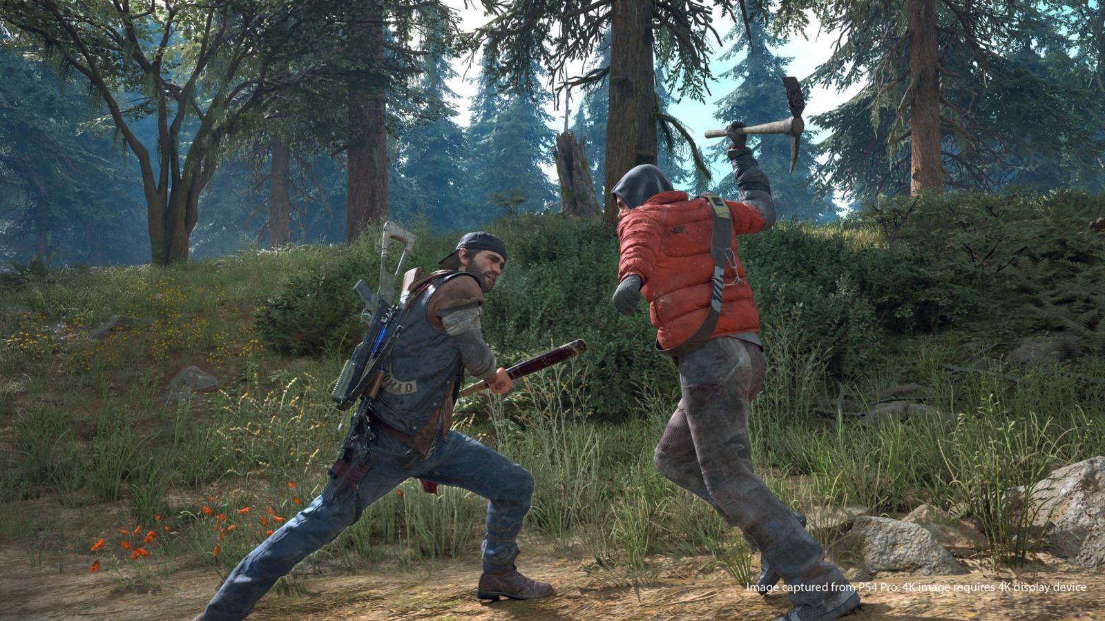 Days Gone Collector's Edition for PS4 image