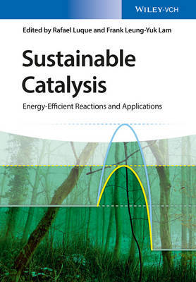 Sustainable Catalysis image