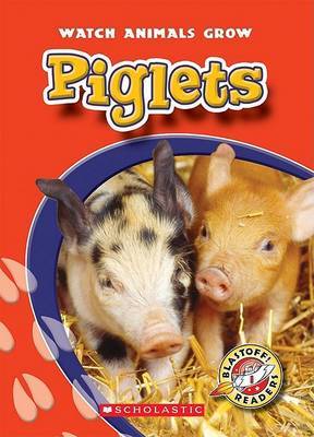 Piglets by Colleen Sexton (Governors State University) image