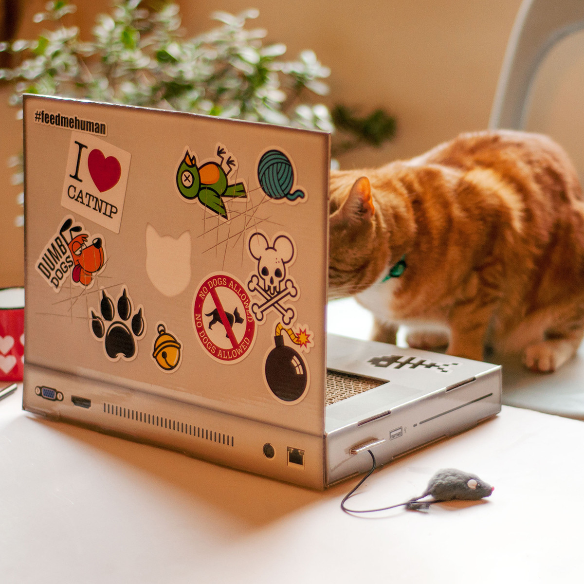 Suck Uk: Cat Playhouse Scratch Laptop