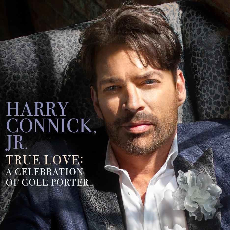 True Love: A Celebration Of Cole Porter by Harry Connick Jr. image