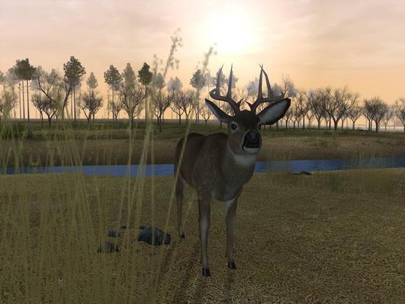 Deer Hunter: The 2005 Season image