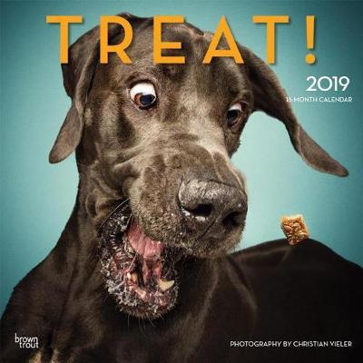 Treat 2019 Square Hachette by Inc Browntrout Publishers image