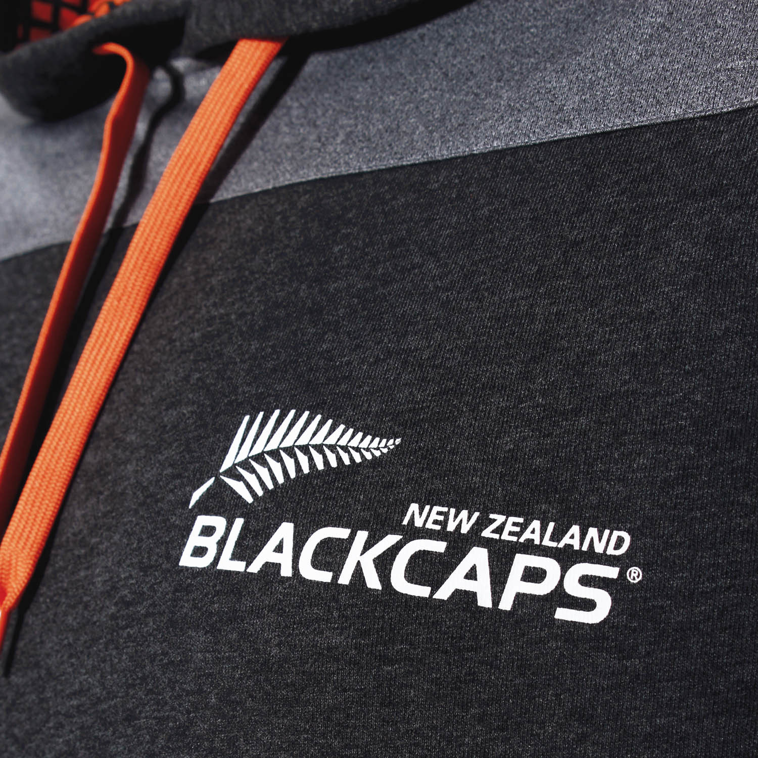 BLACKCAPS Hoody (Large) image