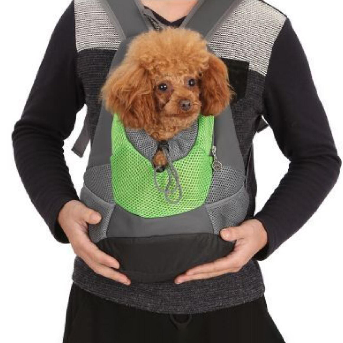 Buy Ape Basics Dog Travel Chest Bag Green at Mighty Ape NZ