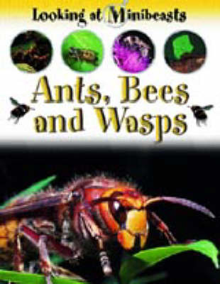 Ants, Bees and Wasps by Sally Morgan image
