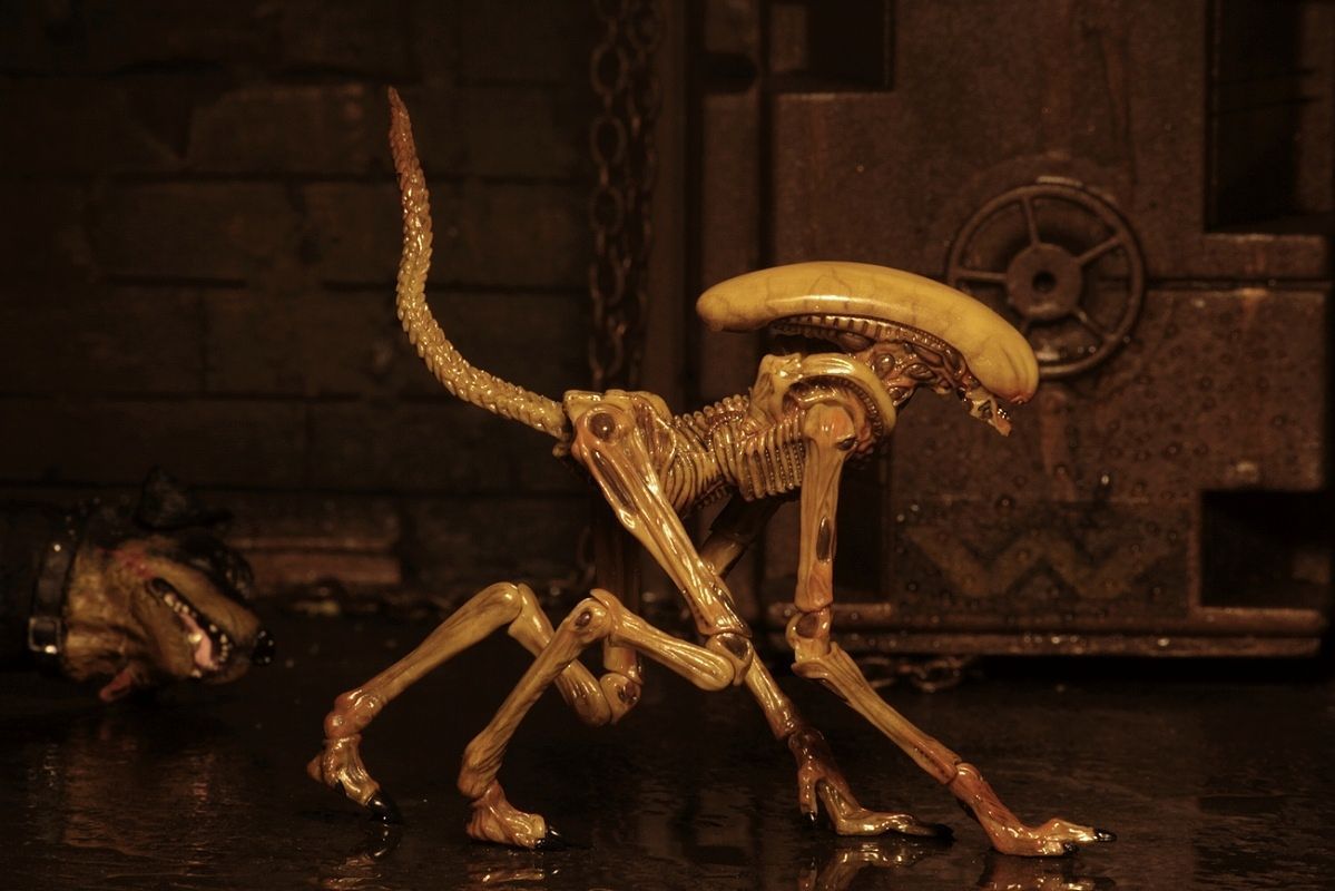 Alien 7-inch Action Figure Series: Alien 3 Creature Pack - Action Figure image