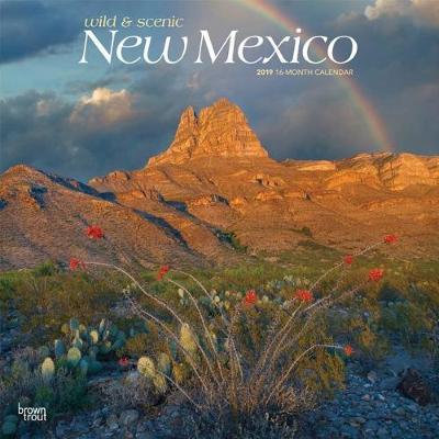 New Mexico Wild & Scenic 2019 Square by Inc Browntrout Publishers image