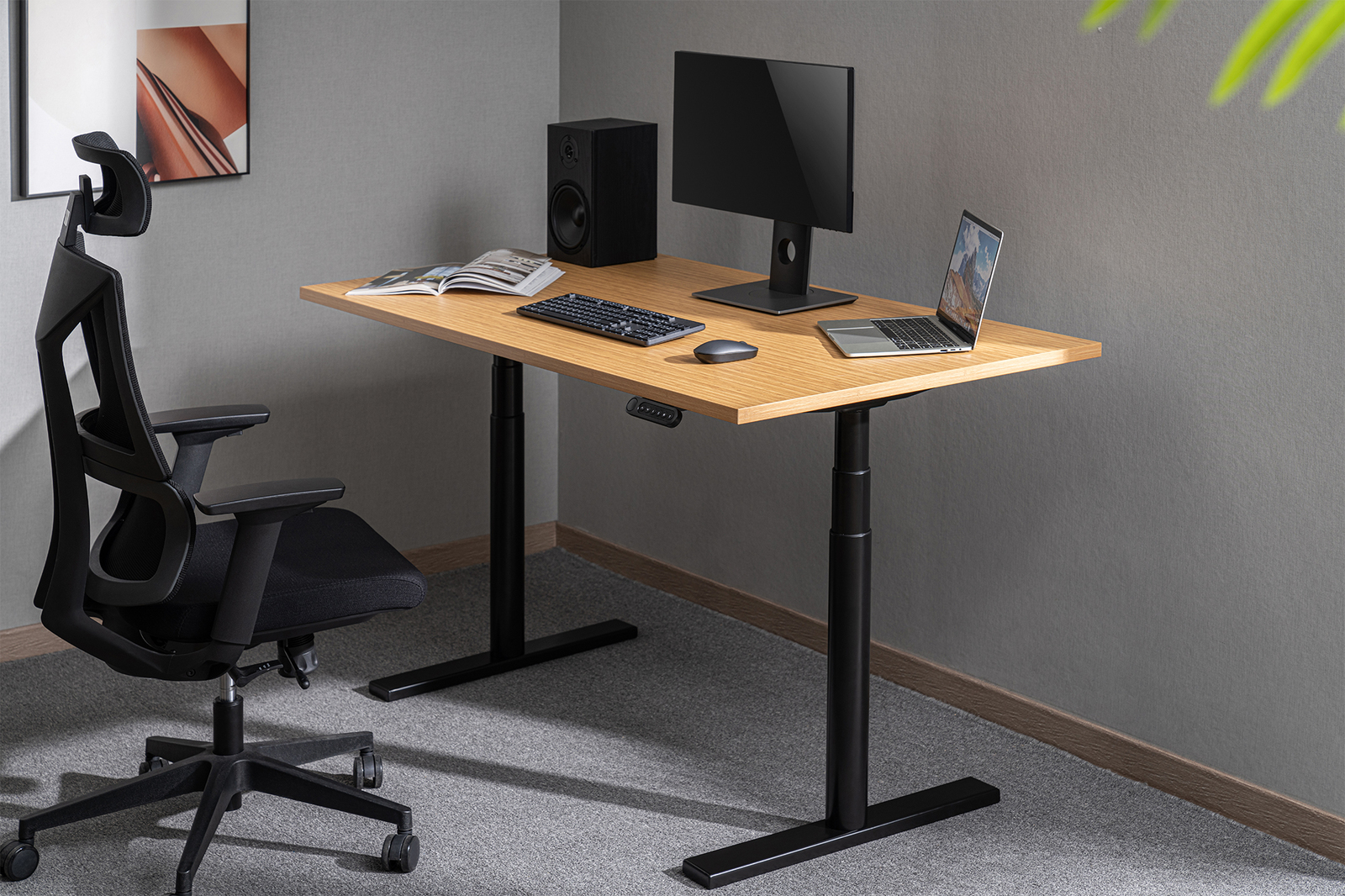 Buy Gorilla Office Height Adjustable Desk Black/Oak at Mighty Ape NZ